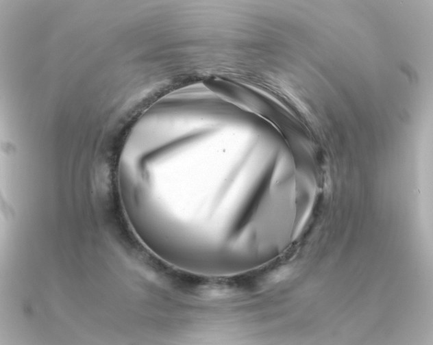 X0000090880211200708101350