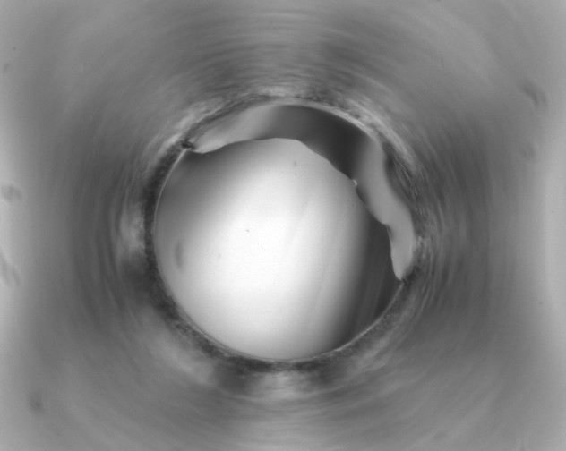 X0000090880212200708101350