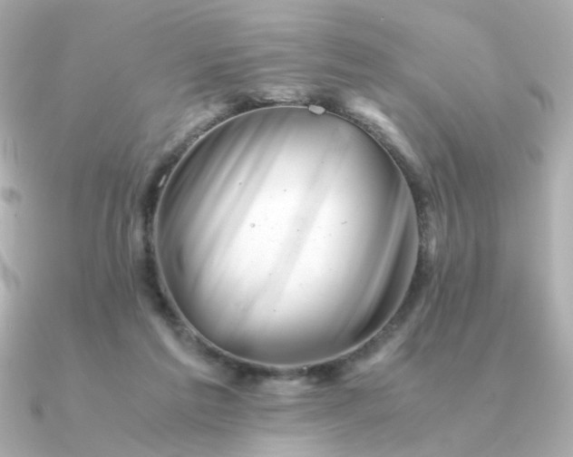 X0000090880213200708101350