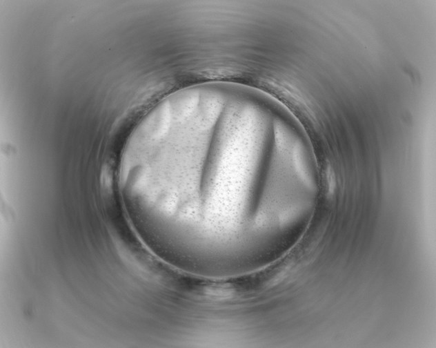 X0000090880214200708101350