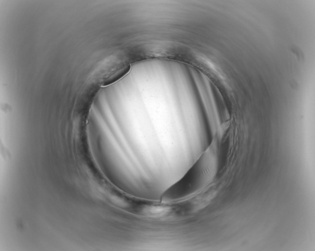 X0000090880217200708101350