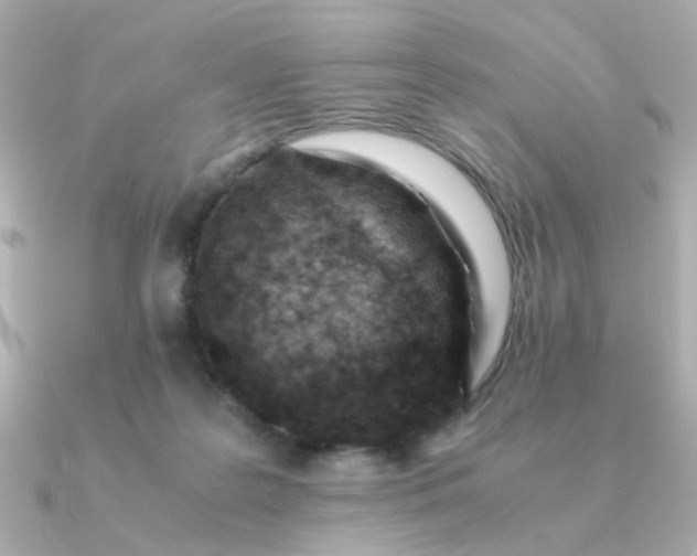 X0000090880219200708101350