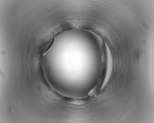 X0000090880221200708101350