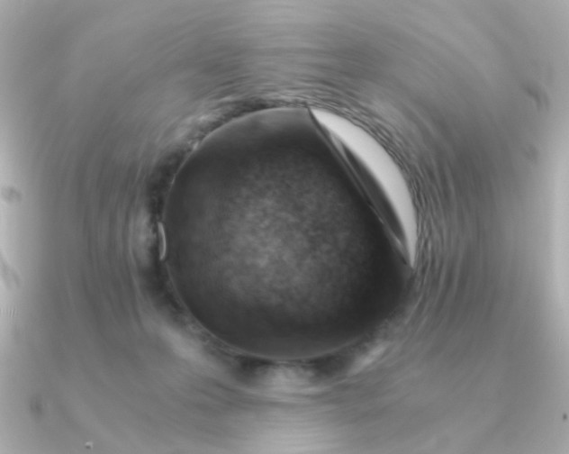 X0000090880223200708101350