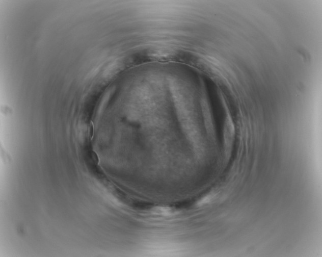 X0000090880227200708101350