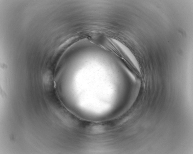 X0000090880228200708101350