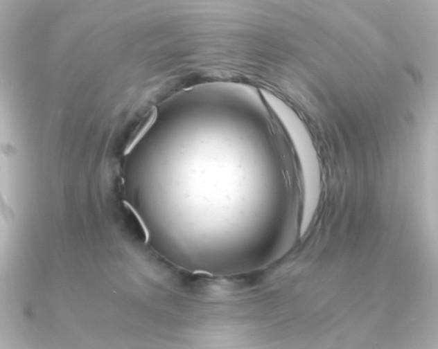 X0000090880229200708101350