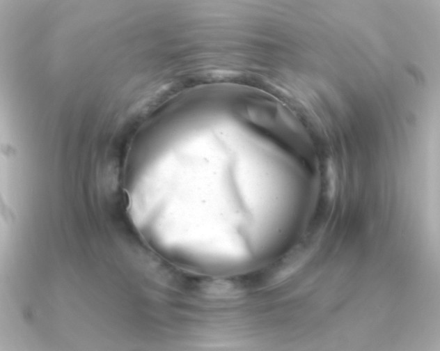 X0000090880230200708101350