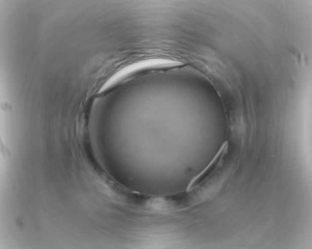 X0000090880231200708101350