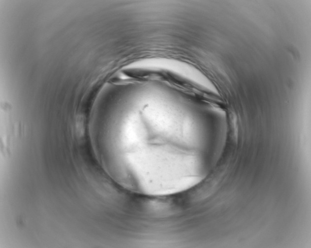 X0000090880232200708101350