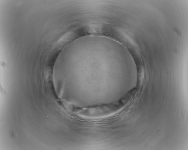 X0000090880233200708101350