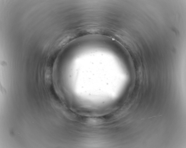 X0000090880234200708101350