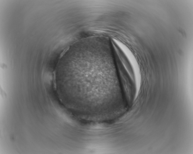 X0000090880235200708101350