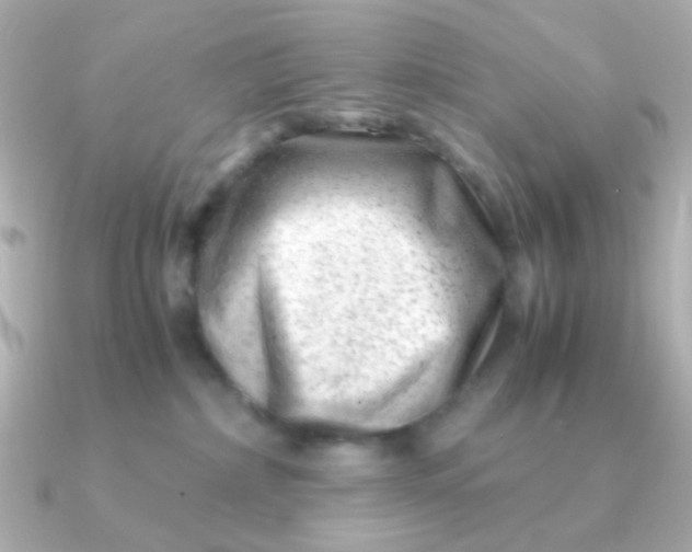 X0000090880236200708101350