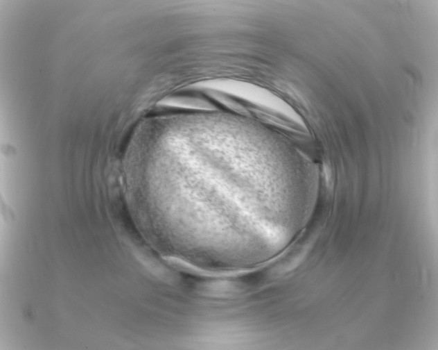 X0000090880237200708101350