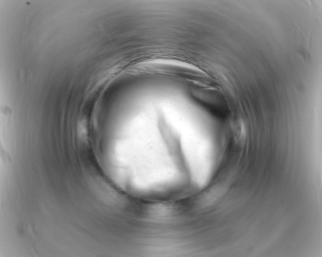 X0000090880238200708101350