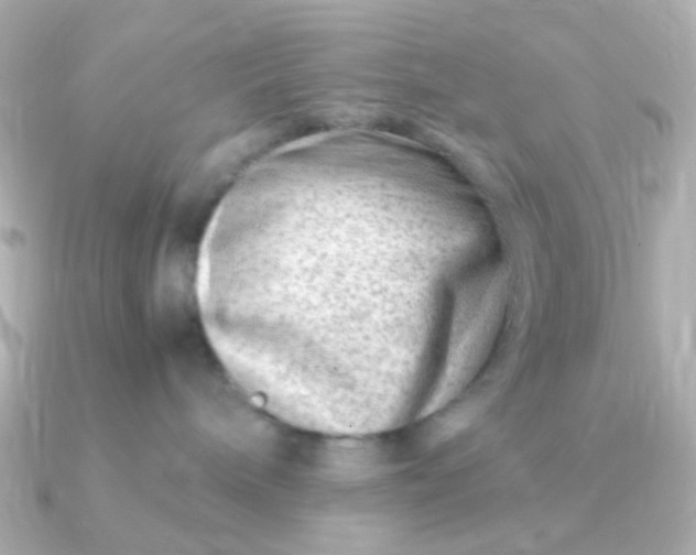 X0000090880240200708101350