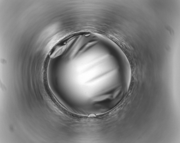 X0000090880242200708101349