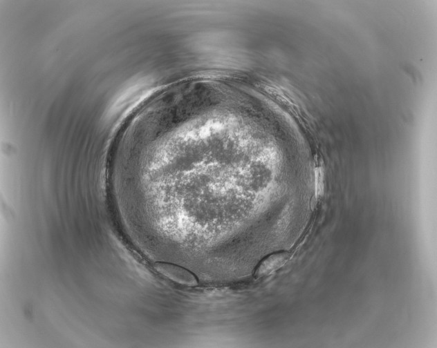 X0000090880243200708101349