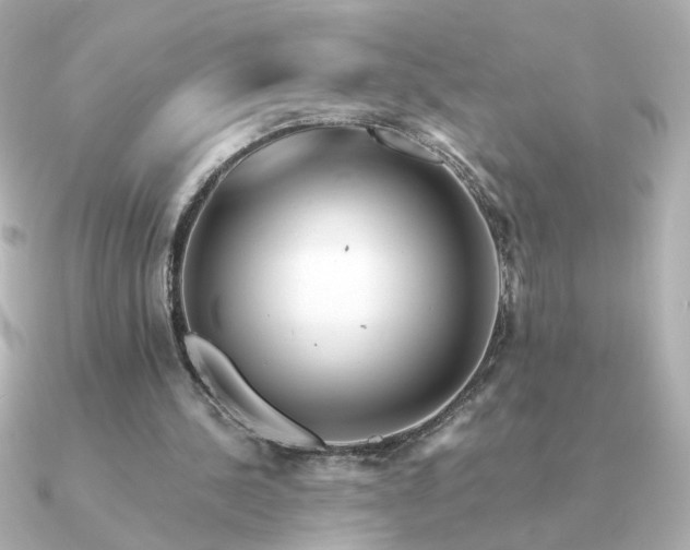 X0000090880244200708101349