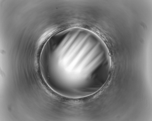 X0000090880245200708101349