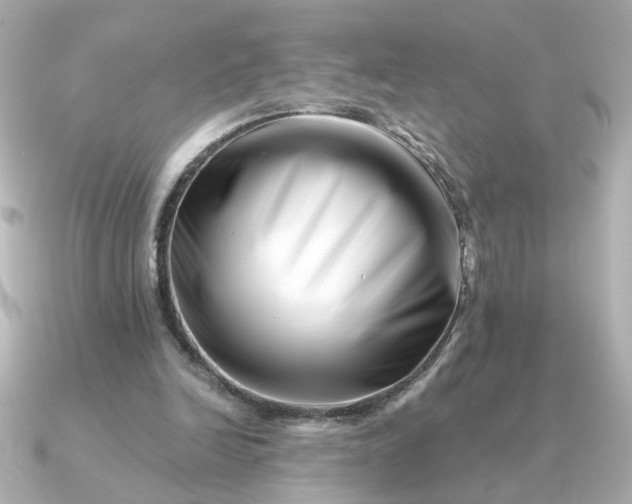 X0000090880246200708101349