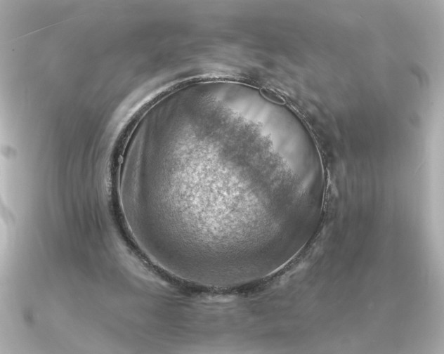 X0000090880247200708101349