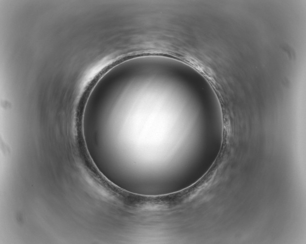 X0000090880248200708101349