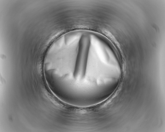 X0000090880249200708101349