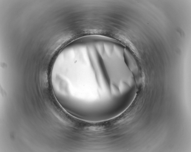 X0000090880251200708101349