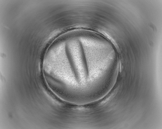 X0000090880253200708101350