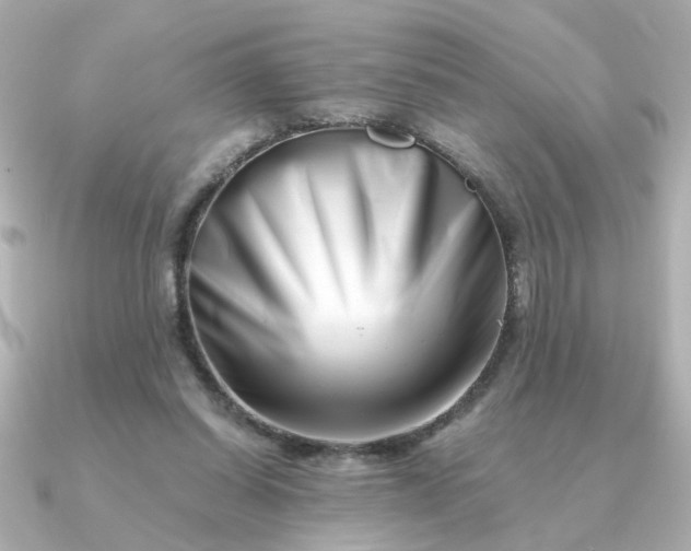 X0000090880254200708101350