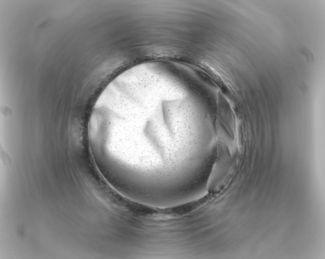 X0000090880255200708101350