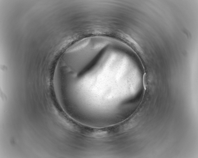 X0000090880257200708101350