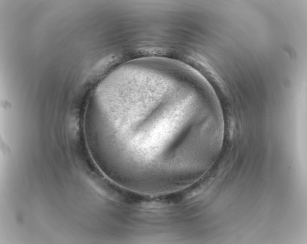 X0000090880259200708101350