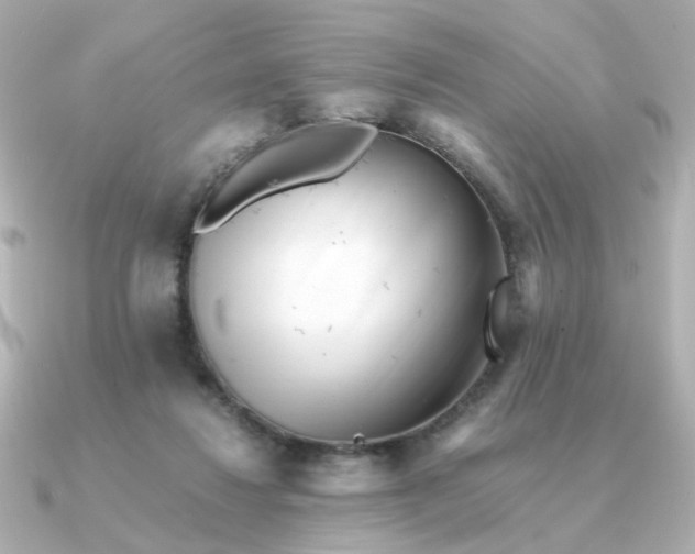 X0000090880260200708101350