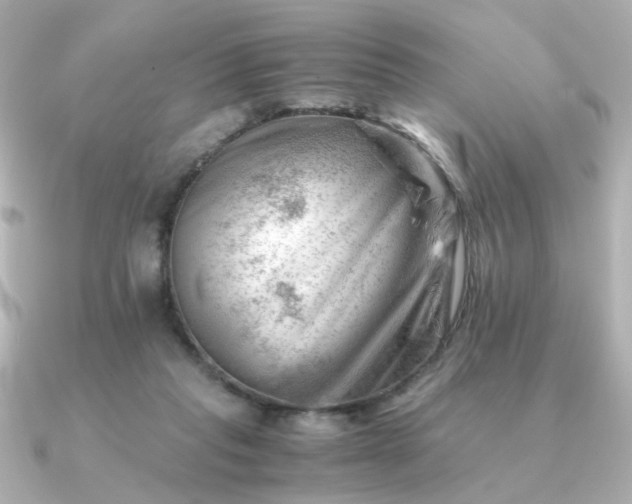 X0000090880261200708101350