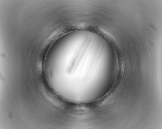 X0000090880262200708101350