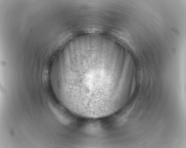 X0000090880263200708101350