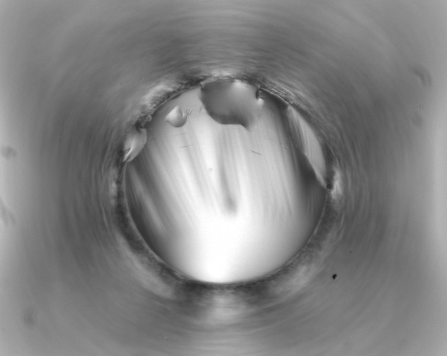 X0000090880264200708101350