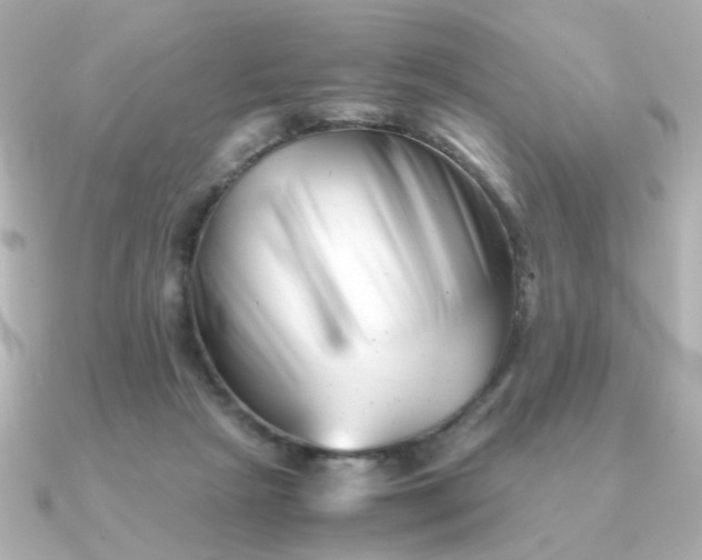 X0000090880265200708101350