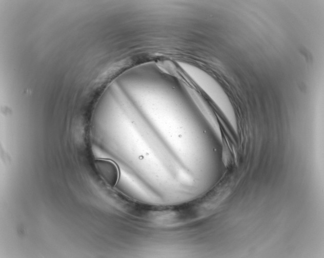 X0000090880266200708101350