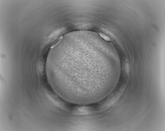 X0000090880268200708101350