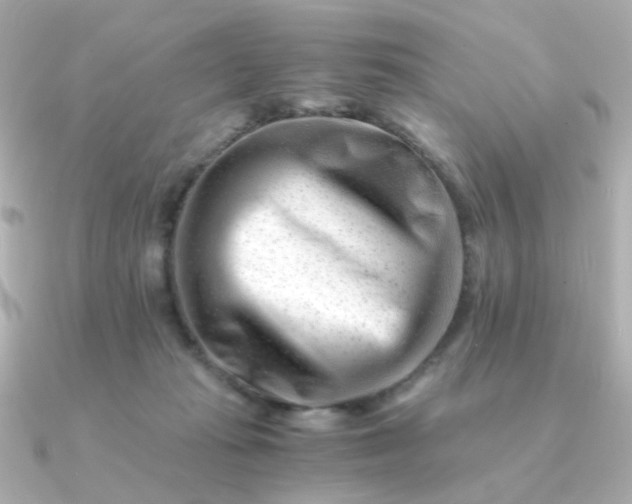 X0000090880269200708101350