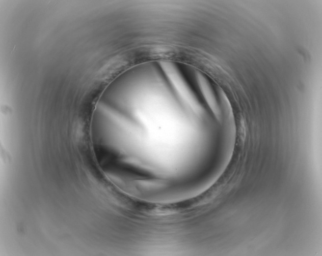 X0000090880270200708101350