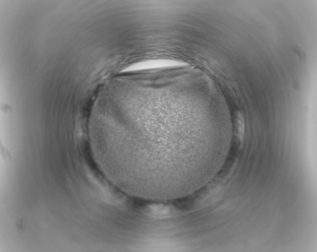 X0000090880272200708101350