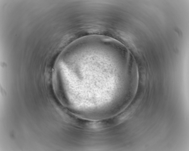 X0000090880273200708101350