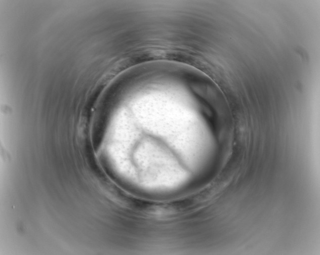 X0000090880275200708101350