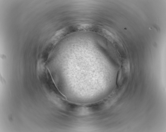 X0000090880276200708101350