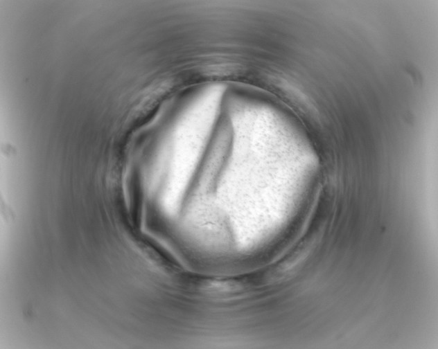 X0000090880277200708101350